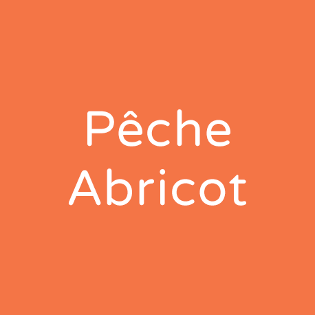 Granité Pêche Abricot 2L