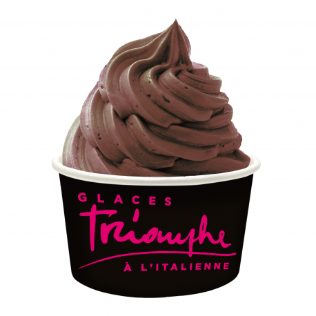 Grand pot à glace Triomphe 230cc