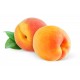 Apricot from Provence