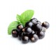 Black currant